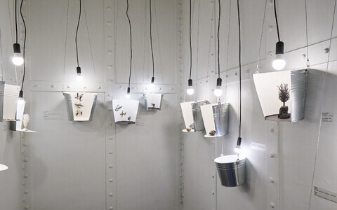 Kertu Tubergi näitus “Kompost”