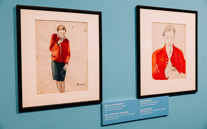 Выставка картин Карин Лутс в Kumu.