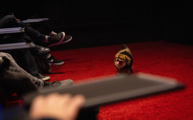 EFTA nominentide väljakuulutamine