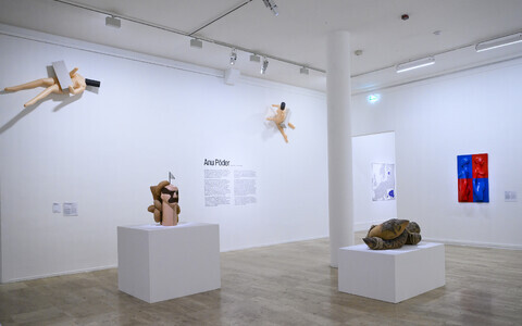 Anu Põdra teosed Pariisis