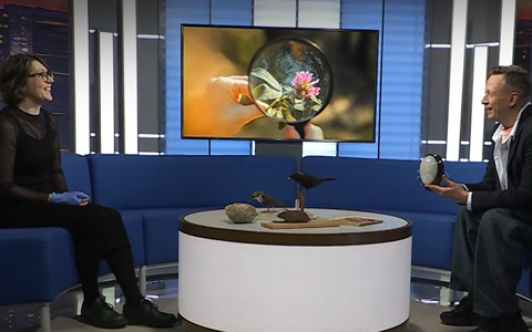 Эвелин Пяэсукене в студии 