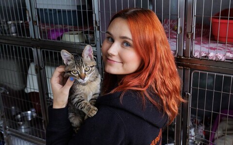 Anni Anete Mõisamaa