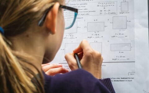 Matemaatikas jäävad õpiraskused sageli märkamata, sest neid tõlgendatakse eksklikult