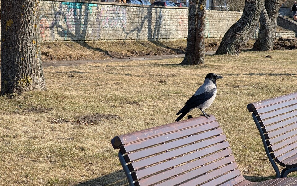 Весна медленно набирает обороты.