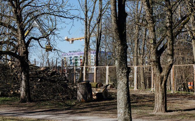 Строительство на стадионе 