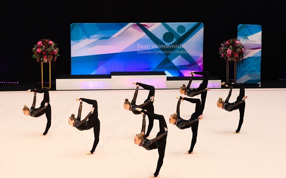 Rühmvõimlemise Eesti meistrivõistlused